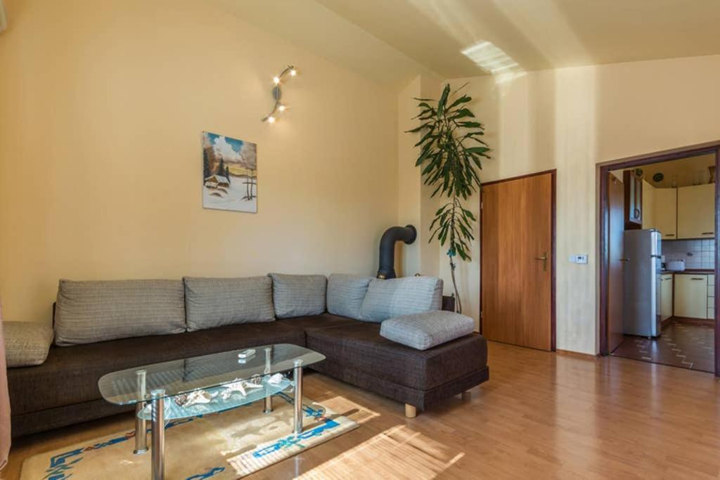 Apartman Stela Poreč Zewnętrze zdjęcie