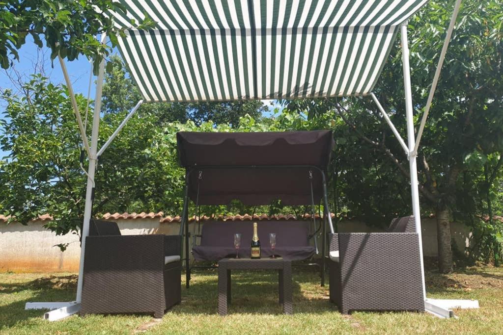 Apartman Stela Poreč Zewnętrze zdjęcie